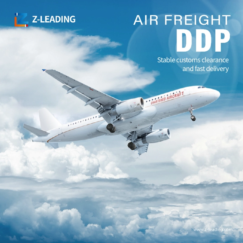 stable air freight DDP